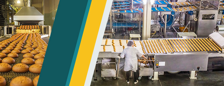 What are the main risks of food processing processes?
